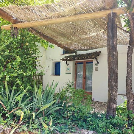Alájar Casita Esperanza 빌라 외부 사진