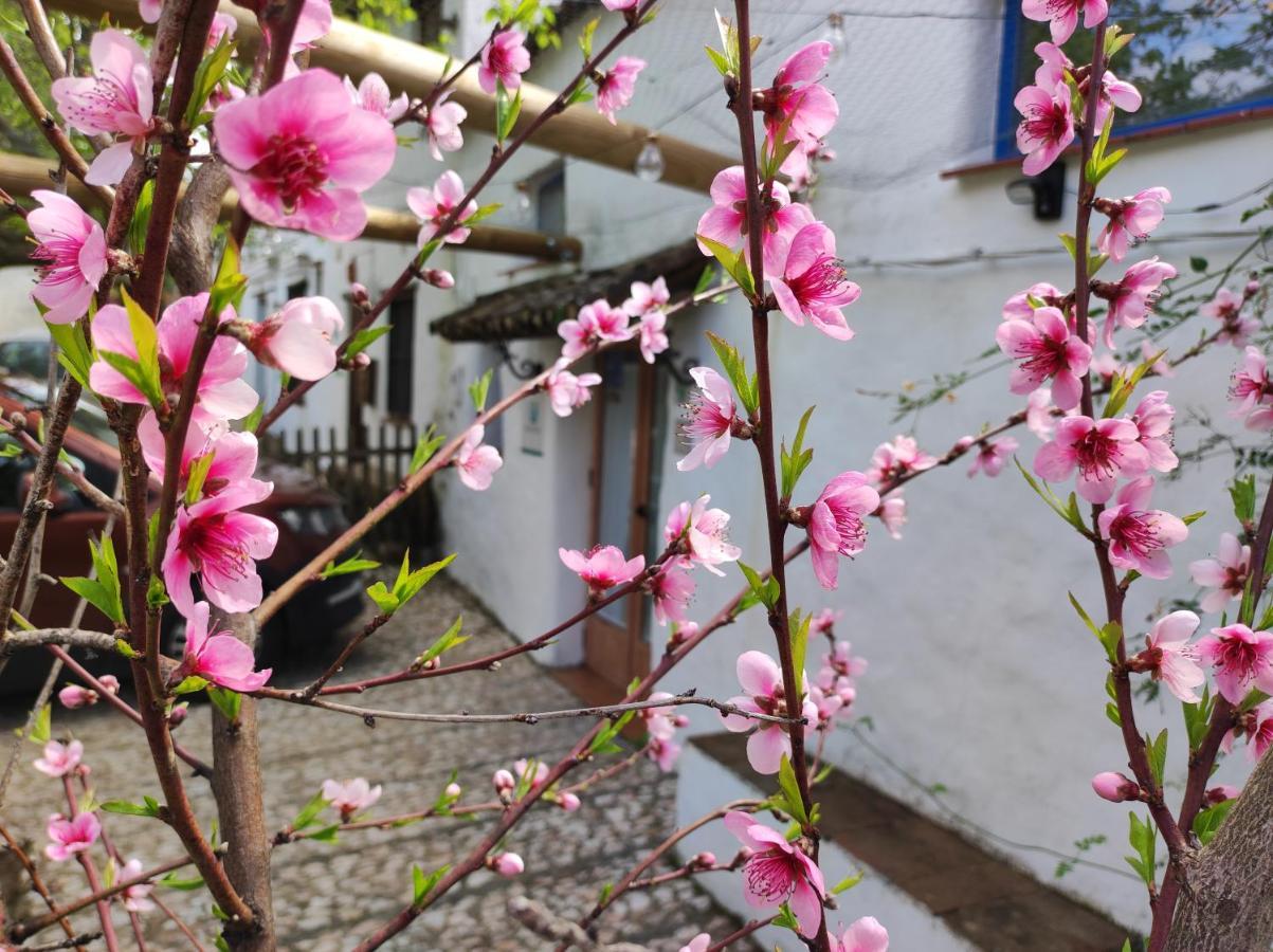 Alájar Casita Esperanza 빌라 외부 사진
